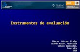 Instrumentos de evaluación Añorve Añorve, Gladys Guzmán Marín, Francisco Viñals Garmendia, Esmeralda 2010.