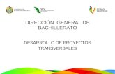 DIRECCIÓN GENERAL DE BACHILLERATO DESARROLLO DE PROYECTOS TRANSVERSALES.