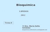 LIPIDOS Bioquímica Dra. María Sofía Giménez bioquimica.enfermeria.unsl@gmail.com Tema:4 2012.