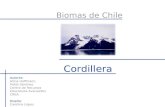 Biomas de Chile Cordillera Autores: Alicia Hoffmann. Pablo Sánchez. Centro de Recursos Educativos Avanzados CREA. Diseño: Carolina López.