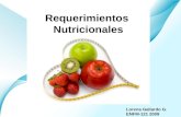 Page 1 Lorena Gallardo G. ENFM-121 2009 Requerimientos Nutricionales.
