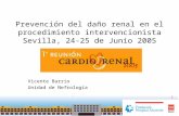 Prevención del daño renal en el procedimiento intervencionista Sevilla, 24-25 de Junio 2005 Vicente Barrio Unidad de Nefrología.