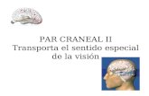 PAR CRANEAL II Transporta el sentido especial de la visión.