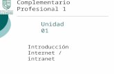 Unidad 01 Introducción Internet / intranet Complementario Profesional 1.
