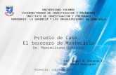 UNIVERSIDAD YACAMBU VICERRECTORADO DE INVESTIGACION Y POSTGRADO INSTITUTO DE INVESTIGACION Y POSTGRADO SEMINARIO: LA GERENCIA Y LAS ORGANIZACIONES EN VENEZUELA.