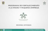 PROGRAMA DE FORTALECIMIENTO A LA MICRO Y PEQUEÑA EMPRESA REGIONAL ANTIOQUIA.