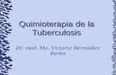 Quimioterapia de la Tuberculosis Dr. med. Ma. Victoria Bermúdez Barba.