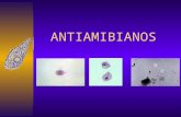 ANTIAMIBIANOS. AMIBIASIS Entamoeba histolytica. Presente en el tracto GI del 10 al 20% de la población mundial. 90% asintomáticas.