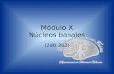 Módulo X Núcleos basales (280-282). Departamento de Anatomía Humana, U. A. N. L. Núcleos basales Se definen como acúmulos de sustancia gris localizados.