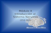 Módulo X Introducción al Sistema Nervioso (253-263)