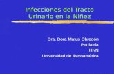 Infecciones del Tracto Urinario en la Niñez Dra. Dora Matus Obregón Pediatría HNN Universidad de Iberoamérica.