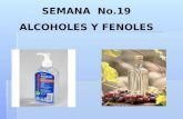 SEMANA No.19 ALCOHOLES Y FENOLES. Alcoholes, fenoles y éteres pueden ser considerados como derivados del agua.