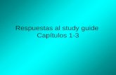Respuestas al study guide Capítulos 1-3. SER SOYSOMOS ERES ESSON.