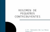 REGIMEN DE PEQUEÑOS CONTRIBUYENTES C.P. Gonzalo De La Rosa Ramirez.