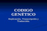 CODIGO GENÉTICO Replicación, Transcripción y Traducción.
