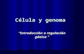 C©lula y genoma Introducci³n a regulaci³n g©nica Introducci³n a regulaci³n g©nica