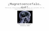 ¿ Magnetoencefalo … qué? Técnicas electromagnéticas para el estudio de la funcionalidad cerebral." Alejandra Carboni Valencia-2009.