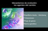 Equilibrio Hardy – Weinberg Mutaciones Flujo de genes Deriva genética Mecanismos de evolución: los agentes del cambio.