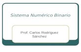 Sistema Numérico Binario Prof. Carlos Rodríguez Sánchez.