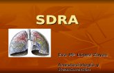 SDRA Eva Mª López Zayas Anestesiología y Reanimación.
