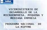 VICEMINISTERIO DE DESARROLLO DE LA MICROEMPRESA, PEQUEÑA Y MEDIANA EMPRESA PROGRAMA NACIONAL DE LA MIPYME.