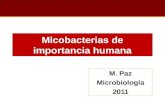 Micobacterias de importancia humana M. Paz Microbiología 2011.
