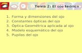 Tema 2: El ojo teórico 1.Forma y dimensiones del ojo 2.Constantes ópticas del ojo 3.Óptica Geométrica aplicada al ojo 4.Modelo esquemático del ojo 5.Pupilas.