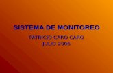 SISTEMA DE MONITOREO PATRICIO CARO CARO JULIO 2006.