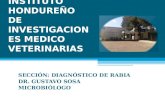 INSTITUTO HONDUREÑO DE INVESTIGACIONES MEDICO VETERINARIAS SECCIÓN: DIAGNÓSTICO DE RABIA DR. GUSTAVO SOSA MICROBIÓLOGO.