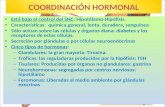 COORDINACIÓN HORMONAL Está bajo el control del SNC: Hipotálamo-Hipófisis. Características: química,general, lenta, duradera, sanguínea Sólo actúan sobre.