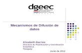Elizabeth Barrios Directora de Planificación y Coordinación Estadística Paraguay Junio de 2013 Mecanismos de Difusión de datos.