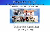 Proyecto de LS (C.87 y C.98) Programa del Centro de Formaciin sobre las NIT y los DH Libertad Sindical.