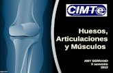 Huesos, Articulaciones y Músculos AMY SERRANO X semestre 2013.