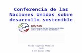 Conferencia de las Naciones Unidas sobre desarrollo sostenible María Eugenia Morales PNUD 6 de junio 2012.