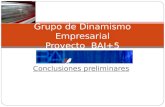 Conclusiones preliminares Grupo de Dinamismo Empresarial Proyecto BAI+5.