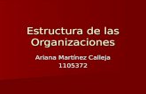 Estructura de las Organizaciones Ariana Martínez Calleja 1105372.