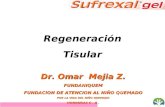 Dr. Omar Mejia Z. FUNDANIQUEM FUNDACION DE ATENCION AL NIÑO QUEMADO POR LA VIDA DEL NIÑO QUEMADO HONDURAS C. A. Regeneración Tisular.