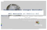 Comisión para la Cooperación Ambiental Reducción de los riesgos derivados del mercurio en América del Norte Proyecto del Grupo de Trabajo sobre Manejo.