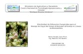 Mario Parada Jaco Ph.D. Ing. Máximo Hernández PROGRAMA DE GRANOS BASICOS Efectividad de Diferentes Fungicidas para el Manejo de Ergot del Sorgo (Claviceps.
