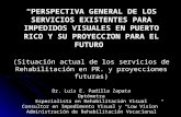 PERSPECTIVA GENERAL DE LOS SERVICIOS EXISTENTES PARA IMPEDIDOS VISUALES EN PUERTO RICO Y SU PROYECCION PARA EL FUTURO (Situación actual de los servicios.