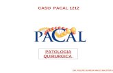 CASO PACAL 1212 PATOLOGIA QUIRURGICA DR. FELIPE GARCIA MALO BAUTISTA.