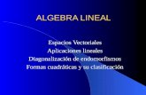 ALGEBRA LINEAL Espacios Vectoriales Aplicaciones lineales Diagonalización de endomorfismos Formas cuadráticas y su clasificación.