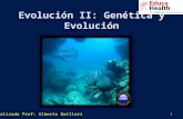 1 Evolución II: Genética y Evolución Realizado Prof: Alberto Batllori.