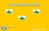 XXV Olimpiada Thales. LA RANA SALTARINA DE THALES Solución Menú Thales tenía una rana saltarina y les planteó un juego a sus discípulos: Si la rana se.