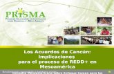 Los Acuerdos de Cancún: Implicaciones para el proceso de REDD+ en Mesoamérica Consulta Mesoamericana sobre Enfoque Común para las Salvaguardas Ambientales.