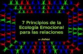 7 Principios de Ecologia Emocional