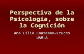 Perspectiva de la Psicología, sobre la Cognición Ana Lilia Laureano-Cruces UAM-A.