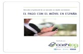El pago móvil en España