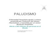 FUNDACION BARCELO FACULTAD DE MEDICINA PALUDISMO Enfermedad Parasitaria aguda ó crónica producida por Protozoos del Género Plasmodium, y trasmitida por.