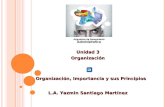 Unidad 3 Organización L.A. Yazmin Santiago Martínez Organización, Importancia y sus Principios.
